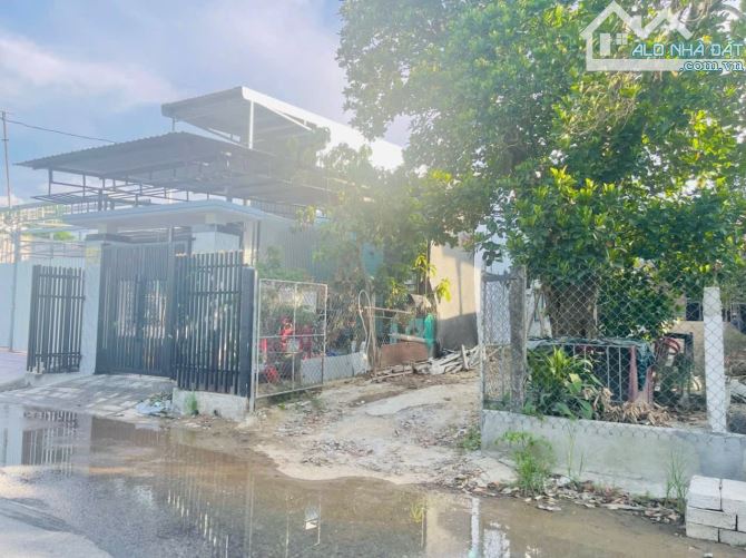 🏠 Đất Mặt Tiền Vạn Xuân 2tỷ8  🏠 - 2