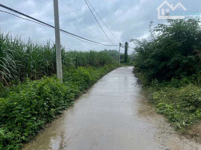 Bán đất Huyện Khánh Vĩnh giá rẻ, DT 1.7 Ha đất gần UB Xã Khánh Trung - 2