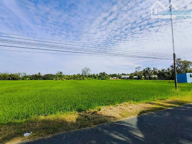 Bán Đất Ruộng Long Phú Giá Rẻ Diện Tích Lớn Giá Nào Cũng Bán - 2