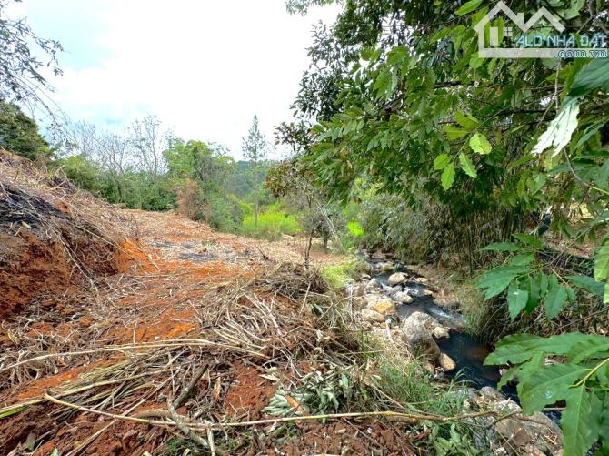 🔥GIẢM SÂU – BÁN GẤP LÔ ĐẤT MIMOSA P10 – ĐÀ LẠT – VỊ TRÍ ĐẸP, VIEW CỰC CHILL  VÀ SUỐI CHẢY - 3