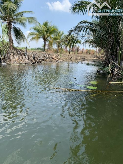 Bán gấp đất gần phà Cát Lái Phú Đông Nhơn Trạch, MT sông giá rẻ 680tr/1000m, SR chính chủ - 4