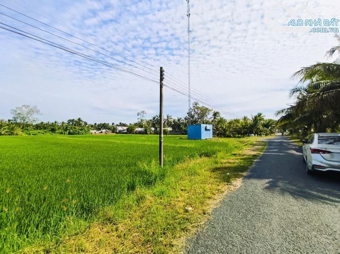 Bán Đất Ruộng Long Phú Giá Rẻ Diện Tích Lớn Giá Nào Cũng Bán - 3