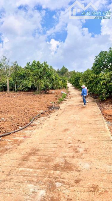 🥰Đông Thanh - Lâm Hà cách Đà Lạt chỉ 13km - 5