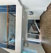 Căn góc 2 mặt tiền. Hẻm xe tải. Nhỉnh 5 tỷ. Bán nhà Gò Vấp . Hẻm xe tải. 5 tầng btct