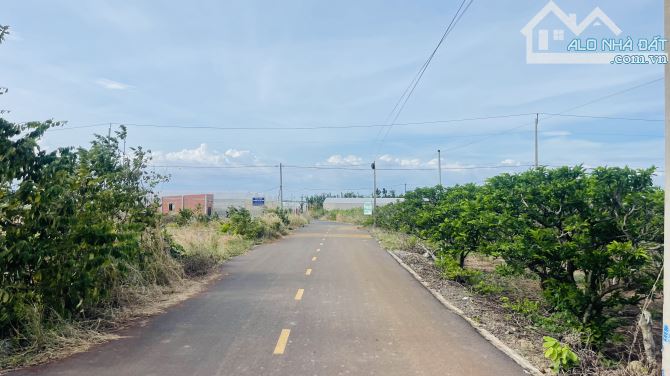 BÁN ĐẤT PHƯỚC LONG THỌ ĐẤT ĐỎ BÀ RỊA VŨNG TÀU DT 867m - 2