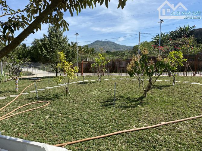ĐẤT VƯỜN 1000m² GẦN SÂN BAY LIÊN KHƯƠNG – CHỈ 3.5 TỶ, 2 MẶT TIỀN, SỔ SÁCH RÕ RÀNG! - 1