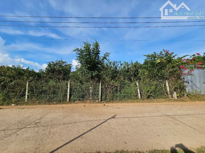 Bán đất Khánh Phú gần full thổ cư gần khu công nghiệp Sông Cầu - tặng vườn bưởi đã cho quả