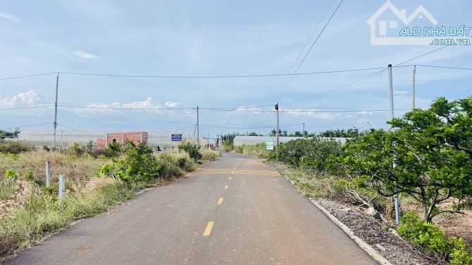 BÁN ĐẤT PHƯỚC LONG THỌ ĐẤT ĐỎ BÀ RỊA VŨNG TÀU DT 867m - 3