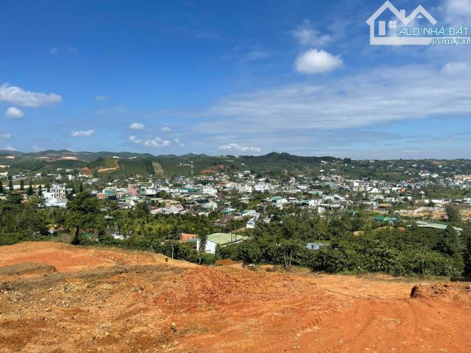 1.9 sào hẻm ql20 Bảo Lộc view đẹp chỉ 1ty6 - 1