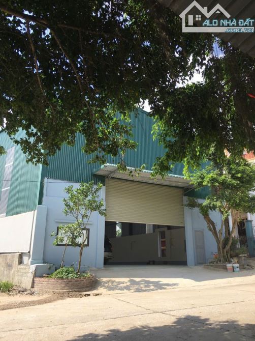 Cho thuê 250m2 và 350m2 Ninh Sở, Thường Tín, Hà Nội - 1