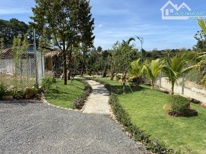 ĐẤT VƯỜN 1000m² GẦN SÂN BAY LIÊN KHƯƠNG – CHỈ 3.5 TỶ, 2 MẶT TIỀN, SỔ SÁCH RÕ RÀNG! - 2
