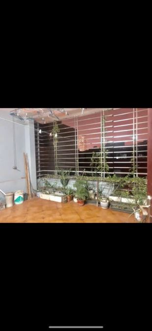 Cần bán nhanh nhà ngõ thông ô tô vào nhà, Khương Trung, DT: 45m,5 tầng MT: 4m giá 10,9 tỷ - 1