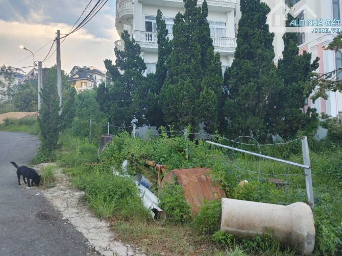 Bán đất 2 mặt tiền khu biệt thự Tô Hiến Thành -  p3 TP Đà Lạt. - 320m2 - Gía 21 tỷ - 1