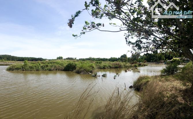 Đất đầu tư mặt tiền Gò Me gần 18.000m2 quá rẻ đầu tư - 1