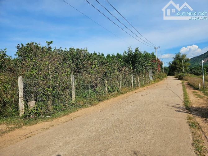 Bán đất Khánh Phú gần full thổ cư gần khu công nghiệp Sông Cầu - tặng vườn bưởi đã cho quả - 1