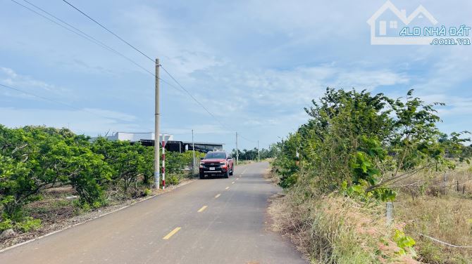 BÁN ĐẤT PHƯỚC LONG THỌ ĐẤT ĐỎ BÀ RỊA VŨNG TÀU DT 867m - 4