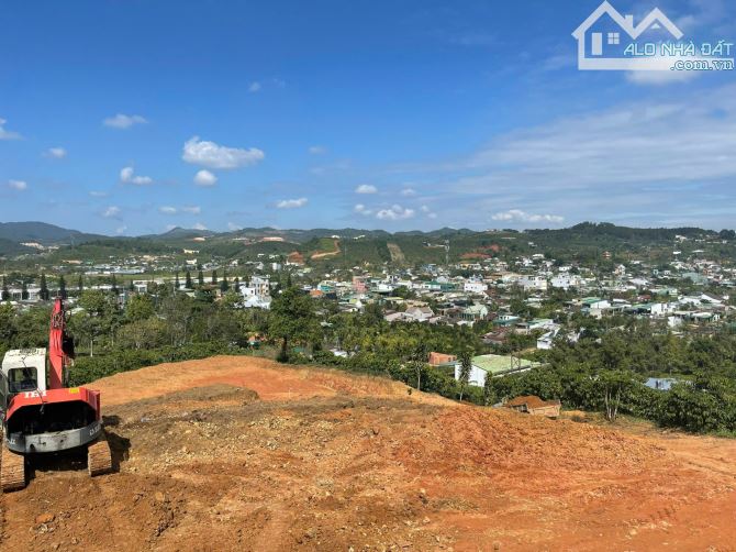 1.9 sào hẻm ql20 Bảo Lộc view đẹp chỉ 1ty6 - 2
