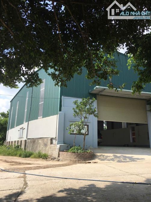 Cho thuê 250m2 và 350m2 Ninh Sở, Thường Tín, Hà Nội - 2