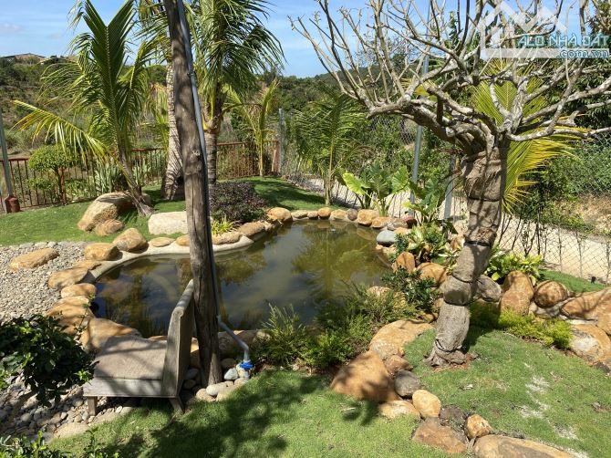 ĐẤT VƯỜN 1000m² GẦN SÂN BAY LIÊN KHƯƠNG – CHỈ 3.5 TỶ, 2 MẶT TIỀN, SỔ SÁCH RÕ RÀNG! - 3