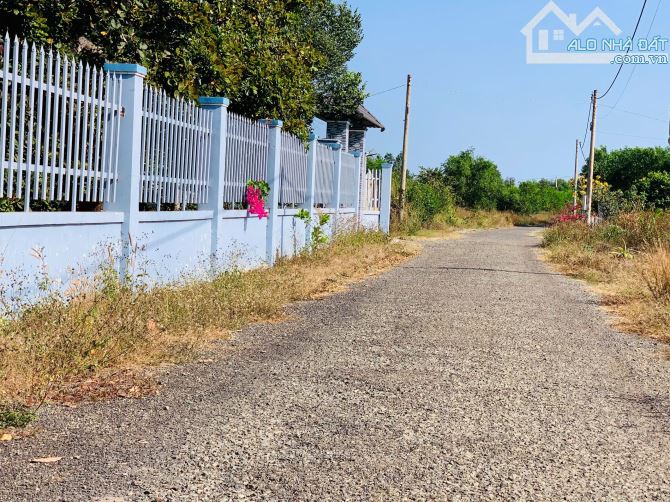 Phú mỹ lên Thành Phố còn xót lại lô đường nhựa 2 mặt tiền chỉ 850tr - 2