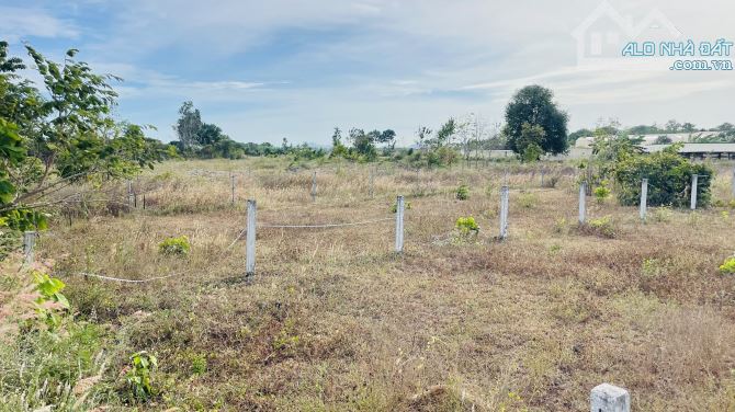 BÁN ĐẤT PHƯỚC LONG THỌ ĐẤT ĐỎ BÀ RỊA VŨNG TÀU DT 867m - 5