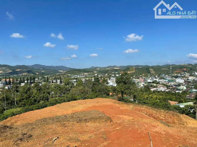 1.9 sào hẻm ql20 Bảo Lộc view đẹp chỉ 1ty6 - 3