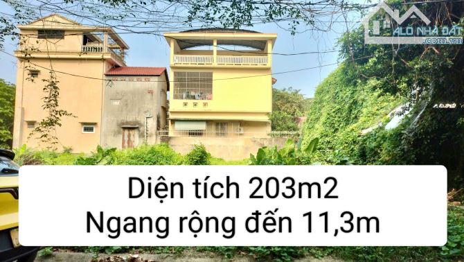 203m2 đất biệt thự Nội Thành Huế chỉ 4,2x (x bé tí hon và Thương lượng chính chủ) - 4