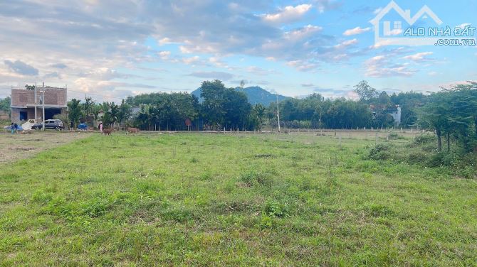 📌📌📌Làm việc trực tiếp!!!Bán 1000m2 đất trồng cây Hòa nhơn, Xã Hòa Nhơn, Huyện Hòa Vang,