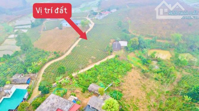 CẦN BÁN LÔ ĐẤT GẦN ĐƯỜNG NHỰA TÂN SƠN PHÚ THỌ GIÁ CHỈ HƠN 200TRIỆU