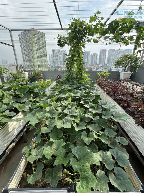 SIÊU PHẨM LK 8 TẦNG, THANG MÁY, KHU GIÃN DÂN MỘ LAO, HÀ ĐÔNG, DT 76M, MT 6.5M, KINH DOANH - 10