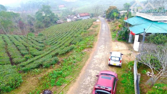 CẦN BÁN LÔ ĐẤT GẦN ĐƯỜNG NHỰA TÂN SƠN PHÚ THỌ GIÁ CHỈ HƠN 200TRIỆU - 1