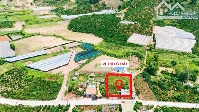 🔥 CỰC PHẨM nghỉ dưỡng Tà Nung, Đà Lạt 1390m2 GÓC 2 mặt tiền, tách được 5 lô giá đầu tư F0 - 2