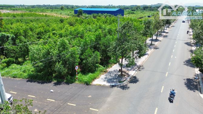 BÁN ĐẤT GẦN 6.000m2 TỈNH LỘ 52, LONG TÂN, HUYỆN LONG ĐẤT GIÁ 20 TỶ - 2