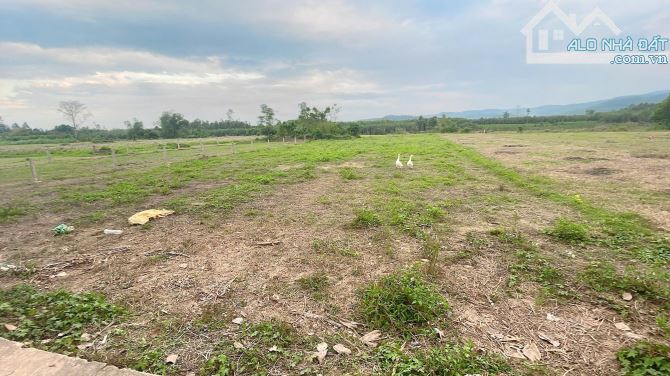 📌📌📌Làm việc trực tiếp!!!Bán 1000m2 đất trồng cây Hòa nhơn, Xã Hòa Nhơn, Huyện Hòa Vang, - 2