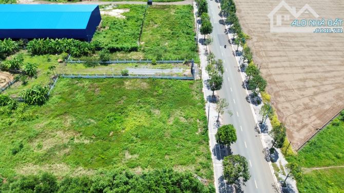 BÁN ĐẤT GẦN 6.000m2 TỈNH LỘ 52, LONG TÂN, HUYỆN LONG ĐẤT GIÁ 20 TỶ - 3