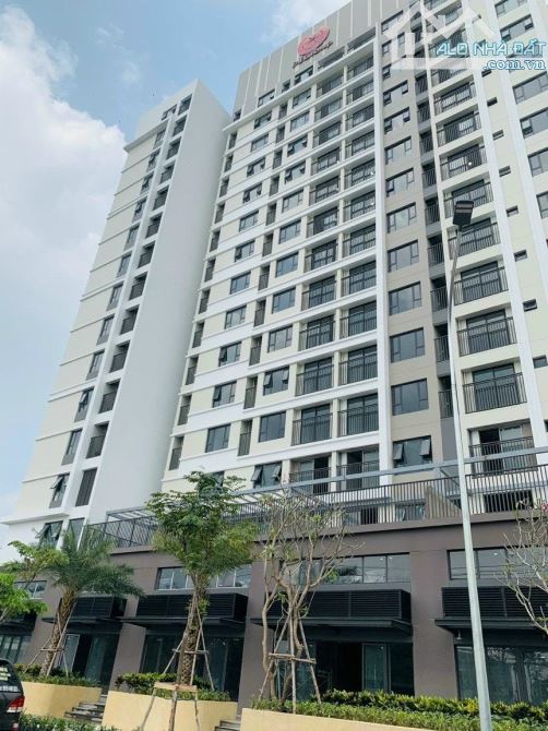 💥ĐẤT Full  THỔ CƯ TẶNG DÃY TRỌ  Thạnh Xuân13 p THẠNH XUÂN Q12 - 3