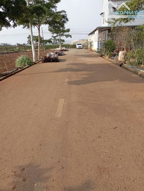 Ngộp ngân hàng hạ giá từ 1,6 tỉ còn 1,35 tỉ cho lô đất thị trấn Liên Nghĩa huyện Đức Trọng