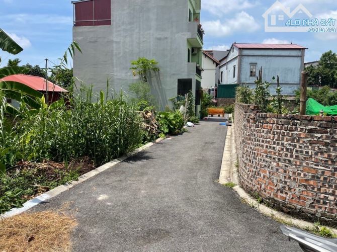 Đất Đa Tốn Gia Lâm ô tô vào đất, vuông vức, gần Ocean park 1 hơn 3 tỷ
