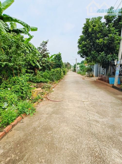 Bán 255m2  đất  tại xã Hoà Long, TP Bà Rịa- Vũng Tàu - 1