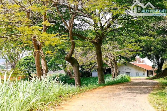 BÁN KHU ĐẤT THỔ CƯ SIÊU RỘNG NẰM NGAY TTHC TT D