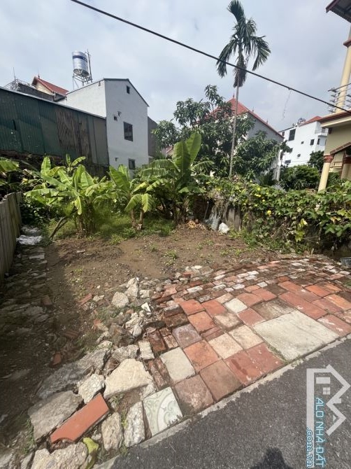 BÁT ĐẤT ĐA TỐN. GIA LÂM. NGÕ Ô TÔ TRÁNH.  103M. MT 5.5. NHỈNH 5 TỶ - 1