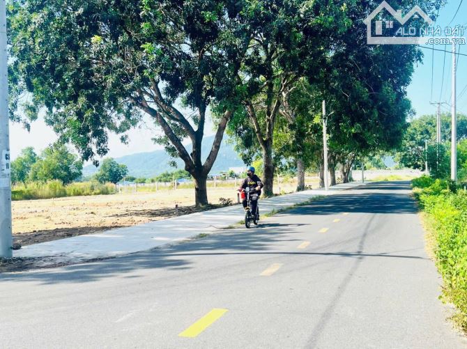 BÁN LÔ ĐẤT MẶT TIỀN TÔN THẤT THUYẾT TT PHƯỚC HẢI LONG ĐẤT BRVT DT 600m2 có 160m2 thổ cư - 1