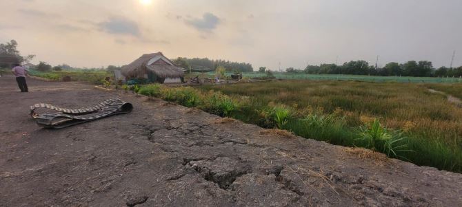 BÁN ĐẤT THƯƠNG MẠI DỊCH VỤ – KHU ĐÔ THỊ MỚI TÂN HIỆP - 1