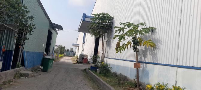 Cho thuê kho mới 100% -  QL 50 mới, Cần Giuộc, Long An. DT linh hoạt 1000-11000 - 2