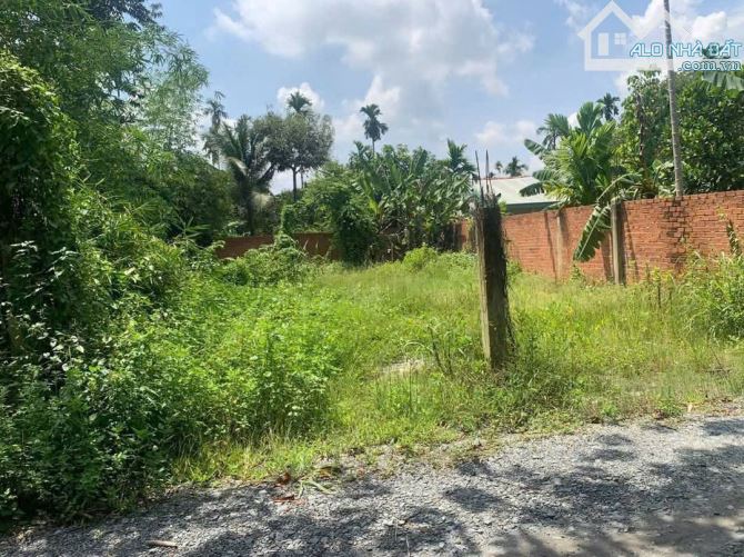 Lô Đất view rạch đường xe tải ở An Sơn, Thuận An, ngang 13m mặt tiền - 2