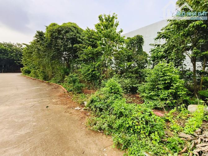 Bán 255m2  đất  tại xã Hoà Long, TP Bà Rịa- Vũng Tàu - 2