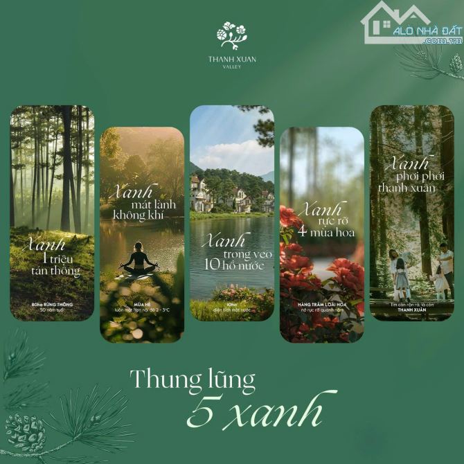 Bán biệt thự nghỉ dưỡng 200m2- Thanh Xuân Valley- VP- Chỉ từ 15 tỷ- Sổ đỏ lâu dài - 2