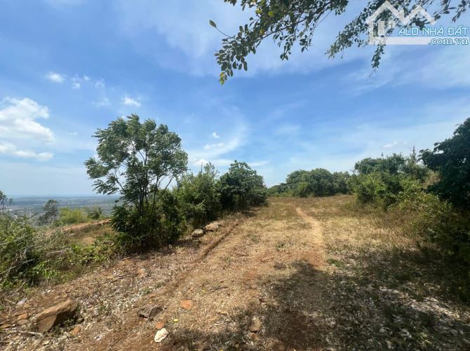 Bán 10ha đất trồng cây View Đầm Ô Loan, Tuy An, Phú Yên. Giá 2,5tr/m2 có thương lượng - 2