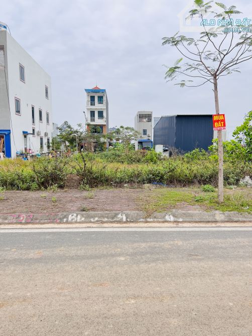 ‼️Bán đất TĐC Áp Tràn - khu đô thị Bắc Sông Cấm - phường Dương Quan - tp Thuỷ Nguyên - 5