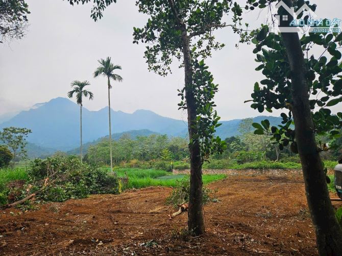 Mảnh Đất Tại Vân Hoà, Ba Vì, View Siêu Đẹp Giá Đầu Tư - 3